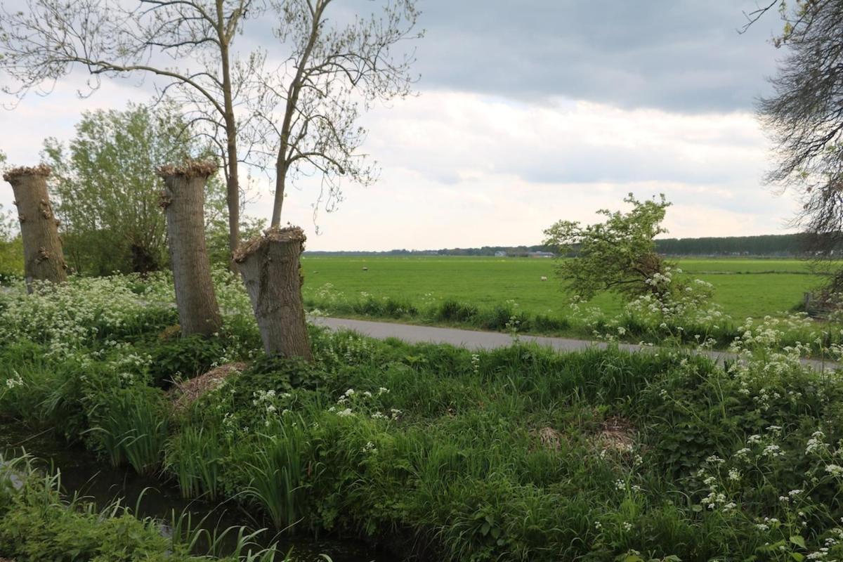 Rural Chalet Aan De Vecht Near Amsterdam Nigtevecht Dış mekan fotoğraf